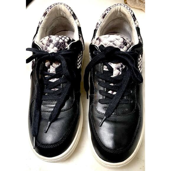 NEW ASH Fool STAR Snake Print Trimmed black Leather Platform Sneakers Size EU 38 - Picture 4 of 14